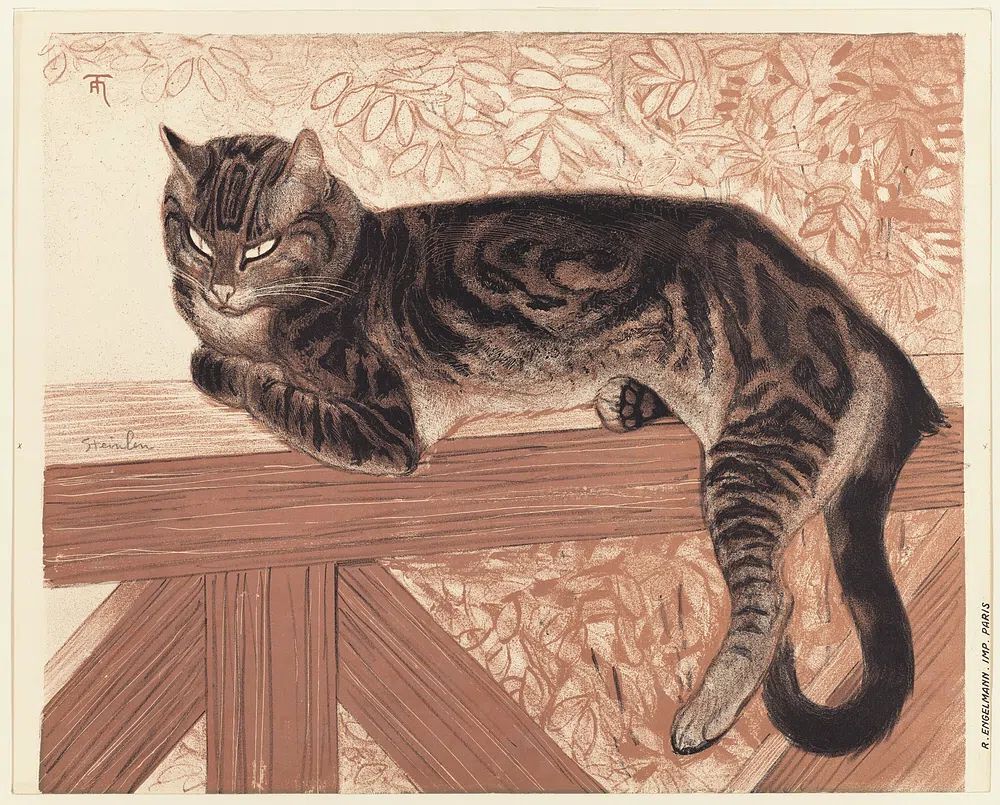 Resting Cat — Illustration Print. poster — animals art