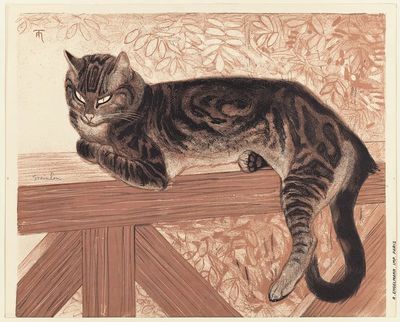 Resting Cat — Illustration Print. poster