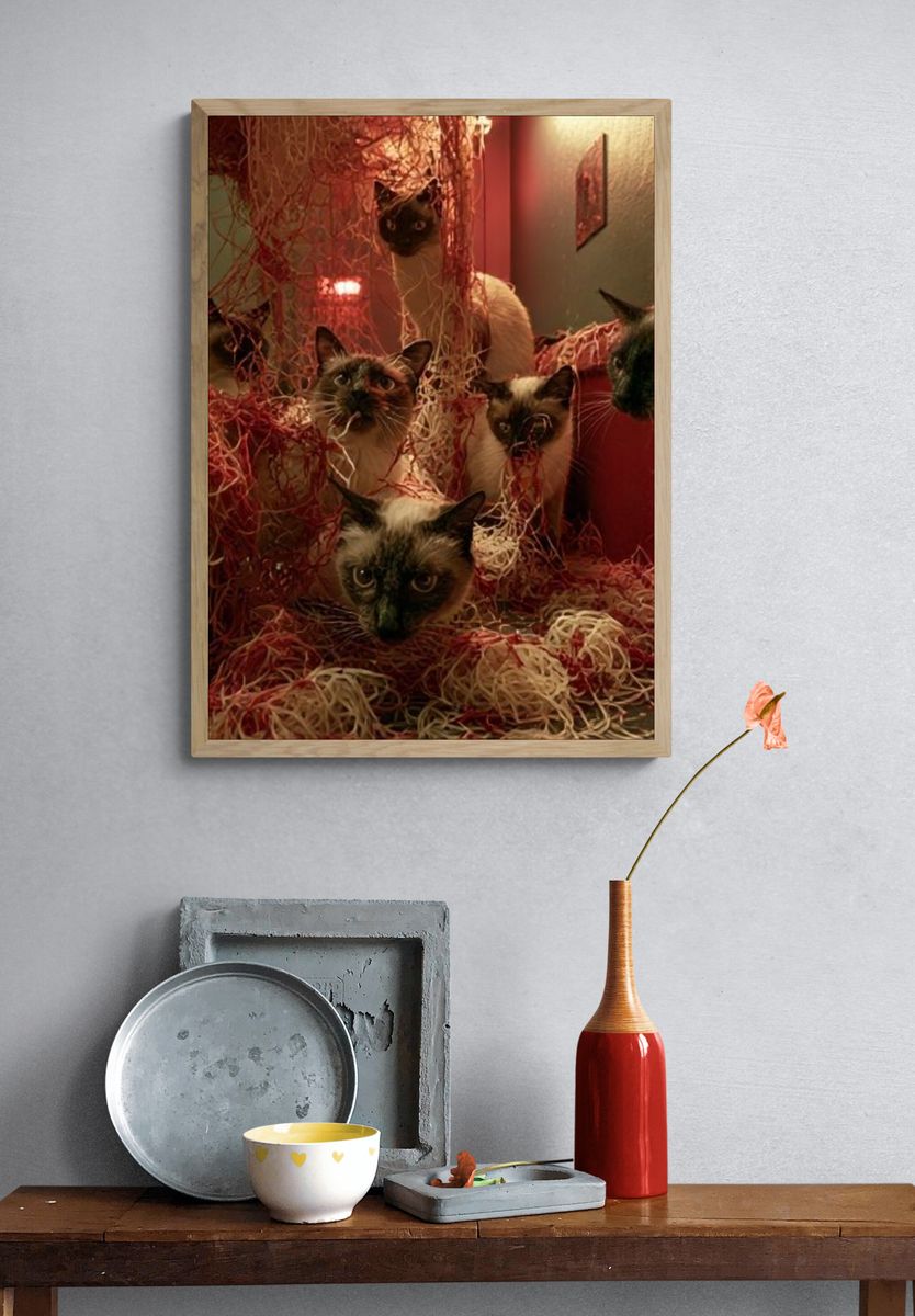 Siamese Cats in Red Tangle Poster. — room view 3