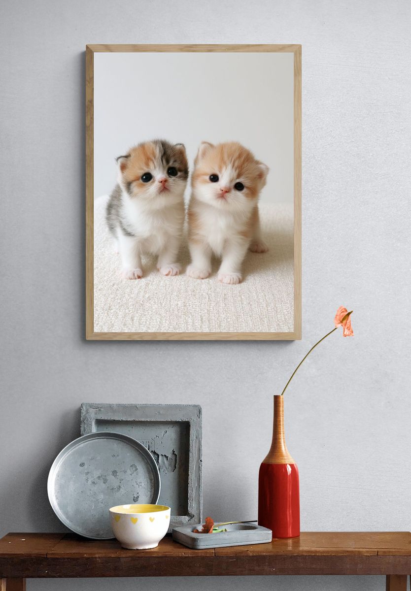 Cute Kittens Photography Poster. — room view 3