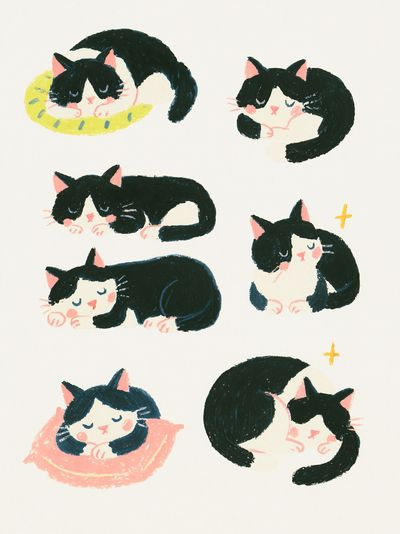 Sleeping Cats Illustration Poster. poster