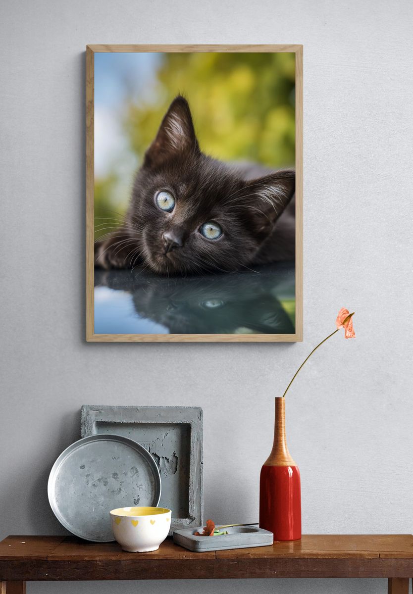 Black Kitten Portrait Poster. — room view 3