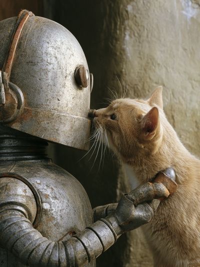 Cat and Robot Encounter Poster.