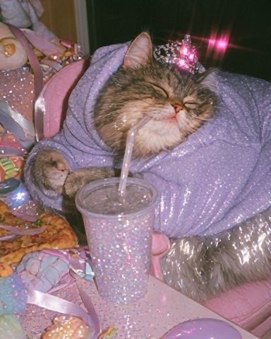 Sparkly Cat in Lavender Hoodie Poster. poster — animals art