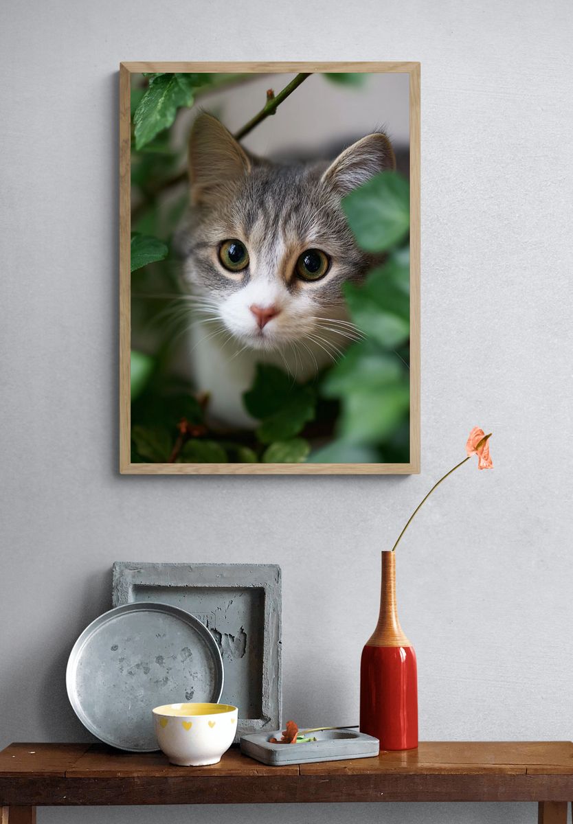 Curious Cat in Greenery Poster. — room view 3