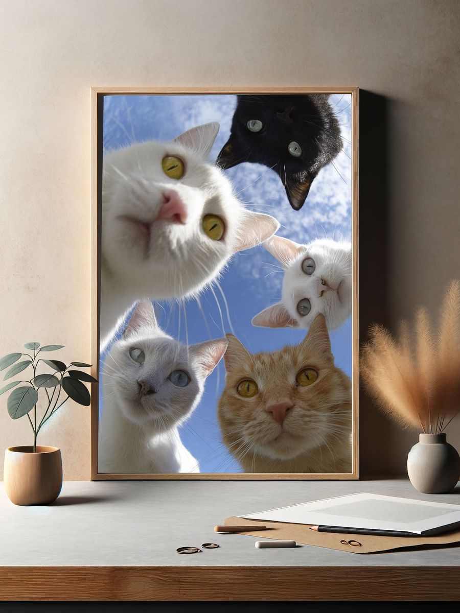 Curious Cats Photography Poster. — room view 2