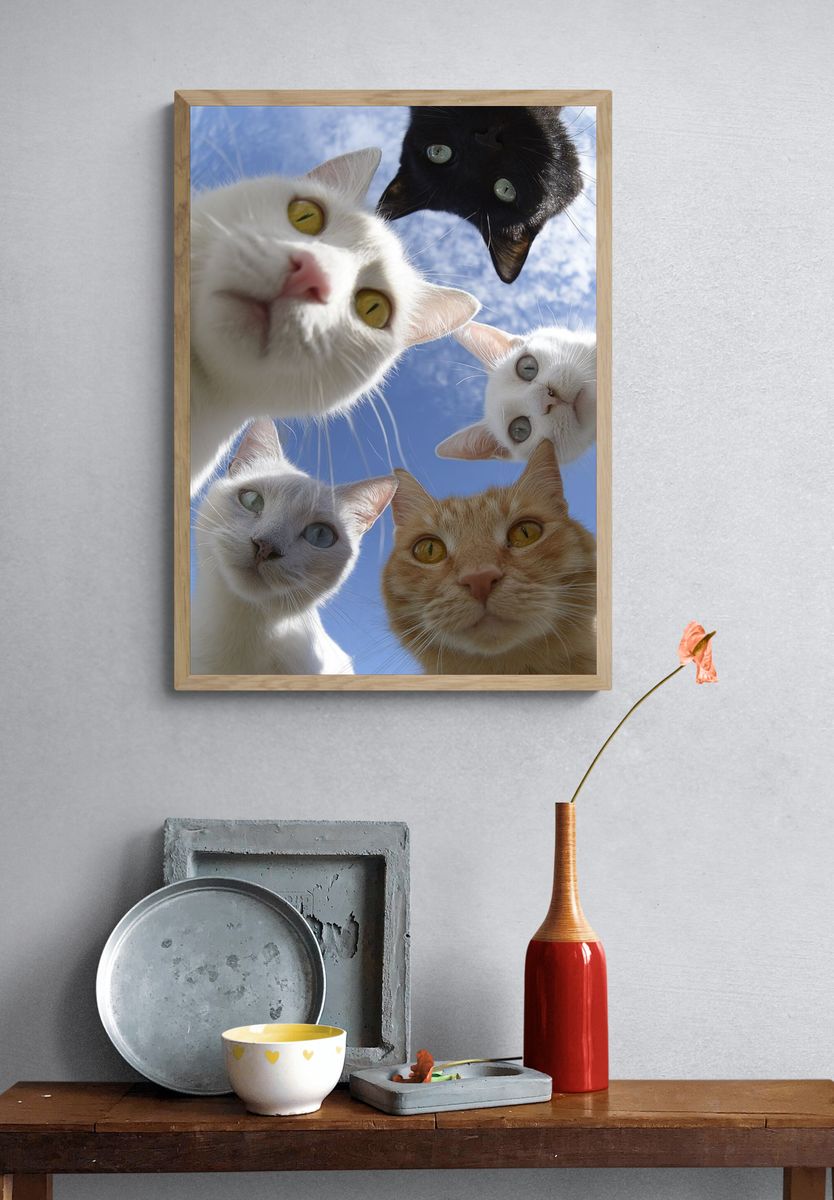Curious Cats Photography Poster. — room view 3