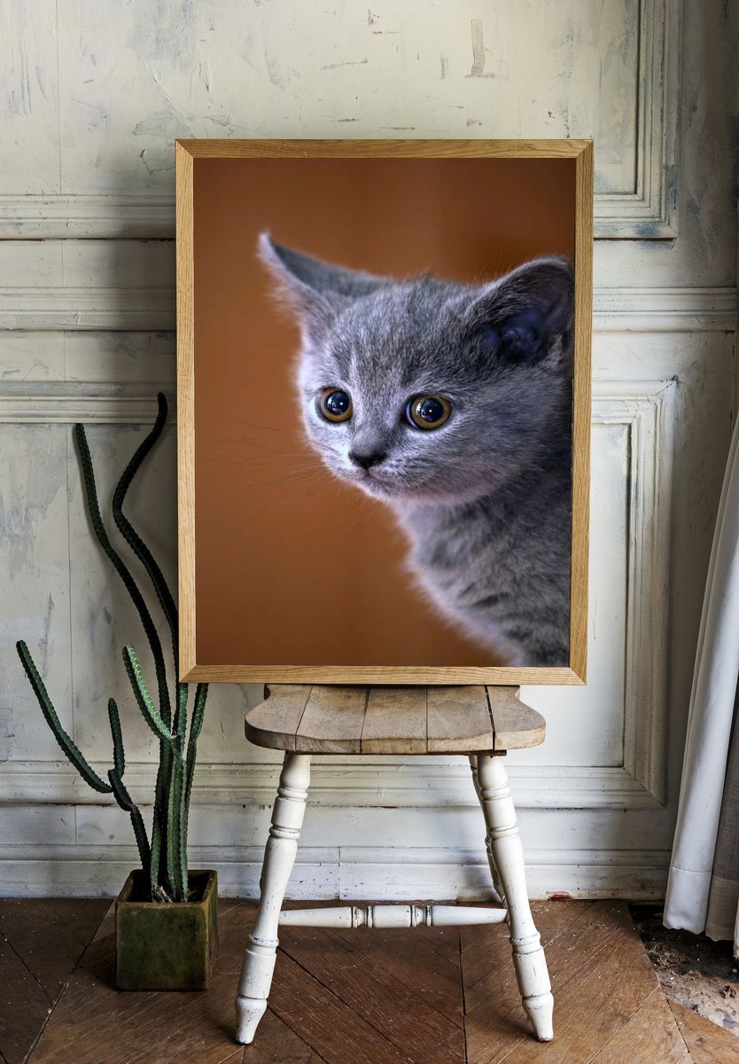 Cute Gray Kitten Portrait Poster. — room view 1