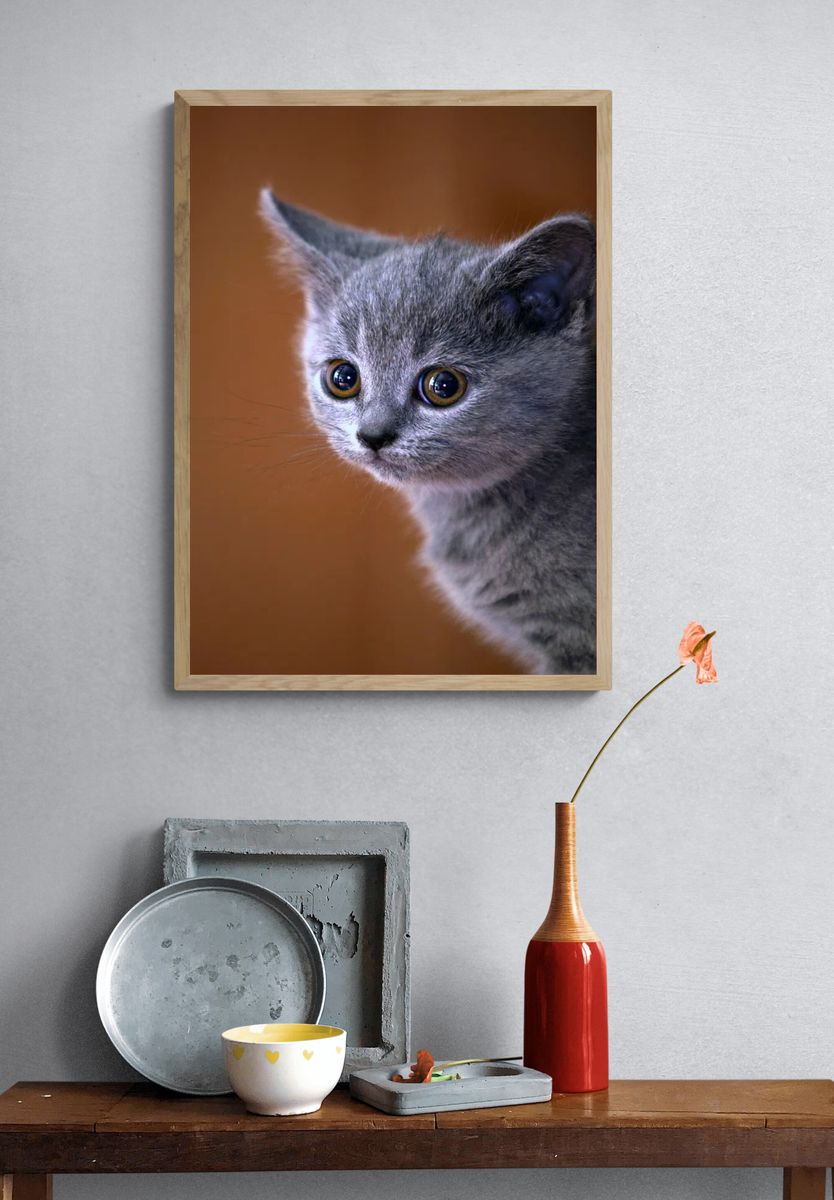 Cute Gray Kitten Portrait Poster. — room view 3
