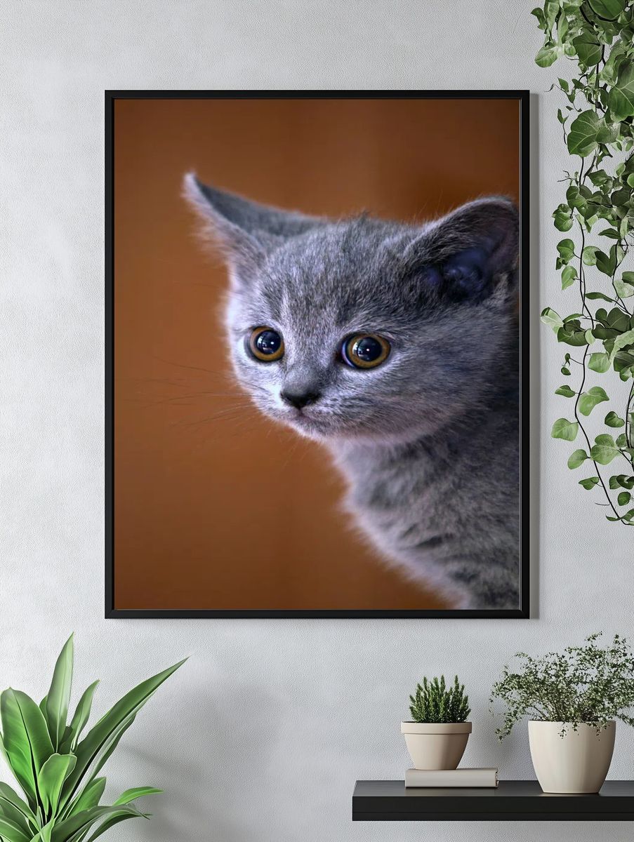 Cute Gray Kitten Portrait Poster. — room view 4