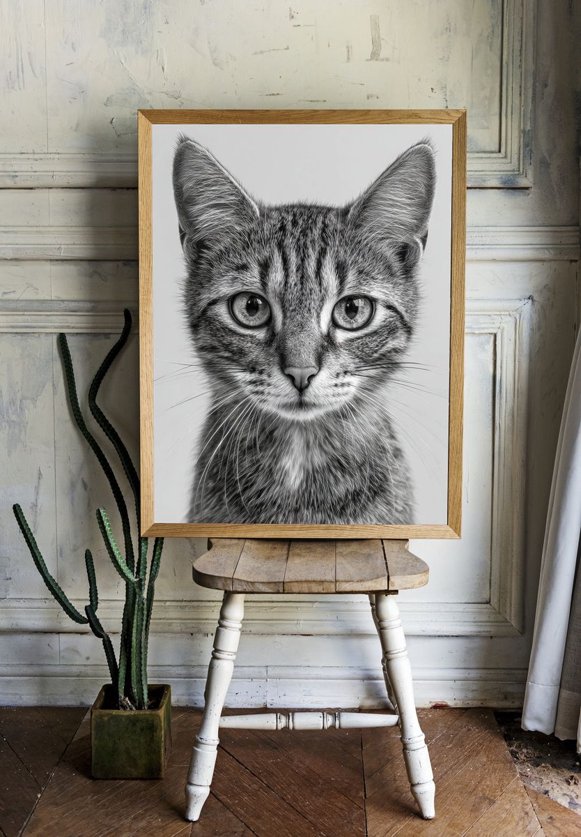 Cat Portrait — Black-White Print. — room view 1
