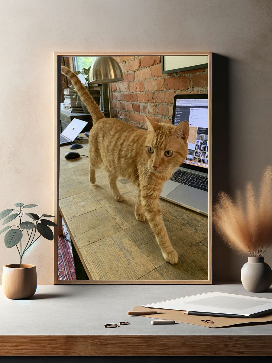 Orange Tabby on Desk Photography Poster. — room view 2