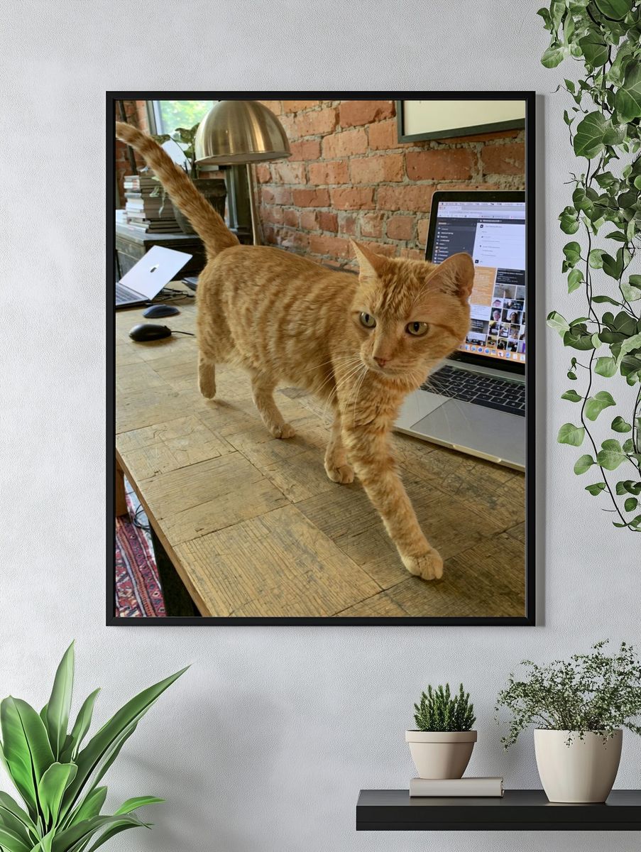 Orange Tabby on Desk Photography Poster. — room view 4