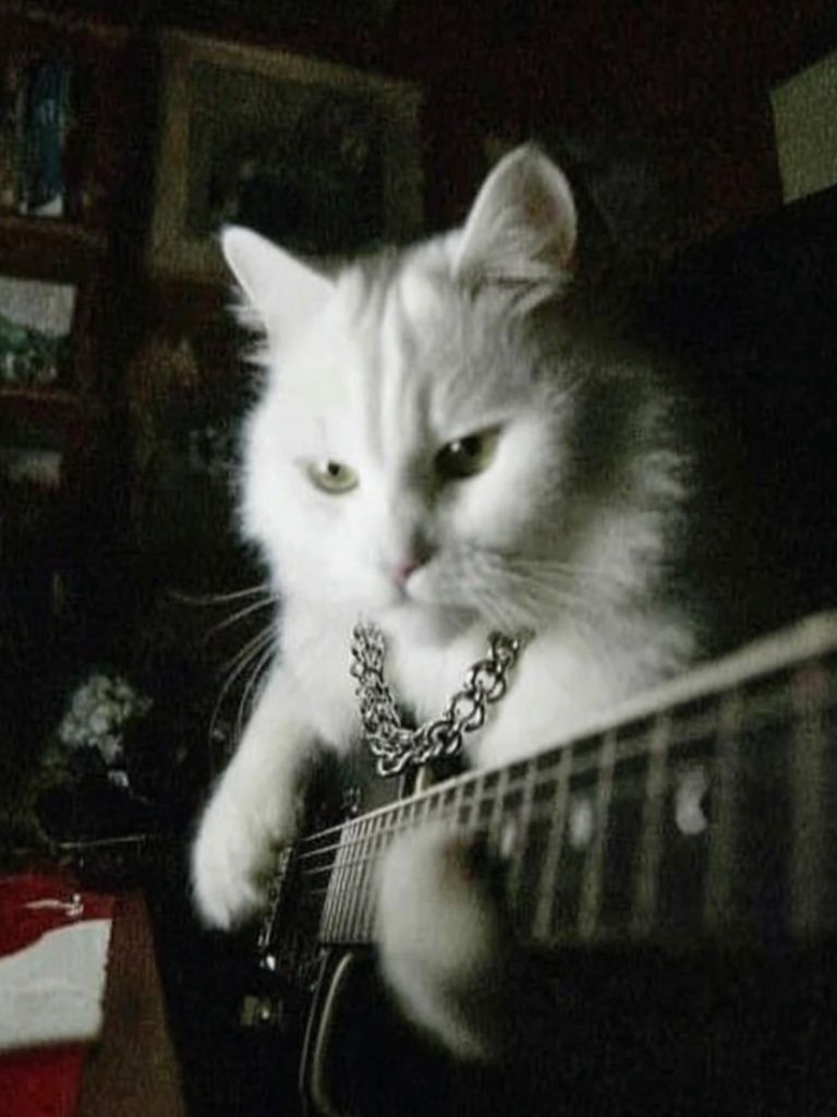 Rockstar Cat — Funny Print. poster detail