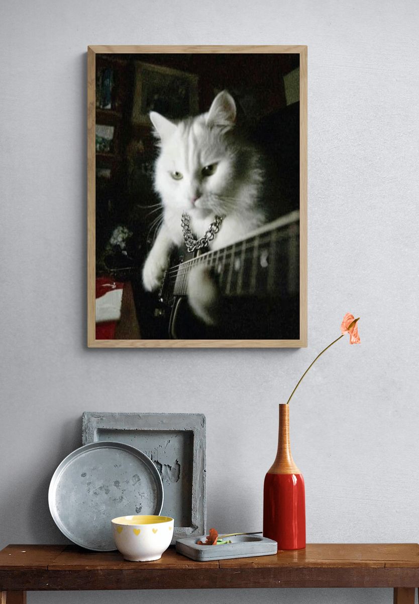 Rockstar Cat — Funny Print. — room view 3