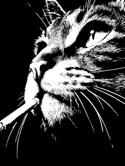 Smoking Cat Portrait Print.