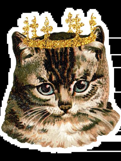Pastel Felt Cat Portrait Print. poster