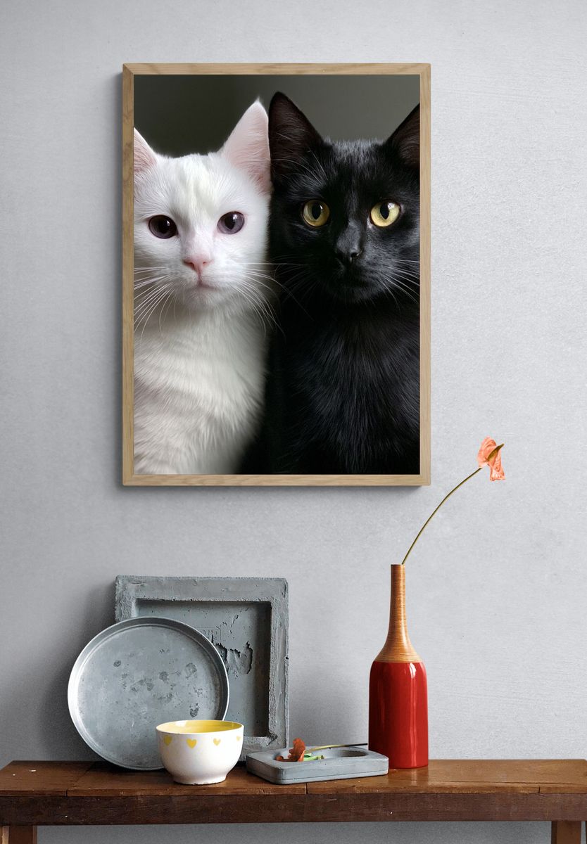 Black and White Cats Portrait Poster. — room view 3