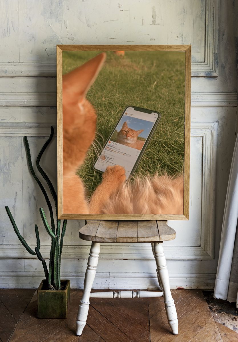 Cat Selfie Photography Poster. room preview