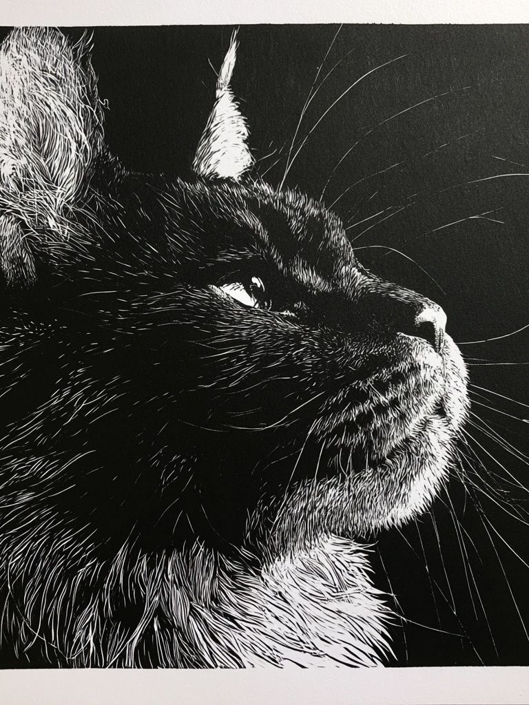 Black Cat Portrait Print. poster — animals art