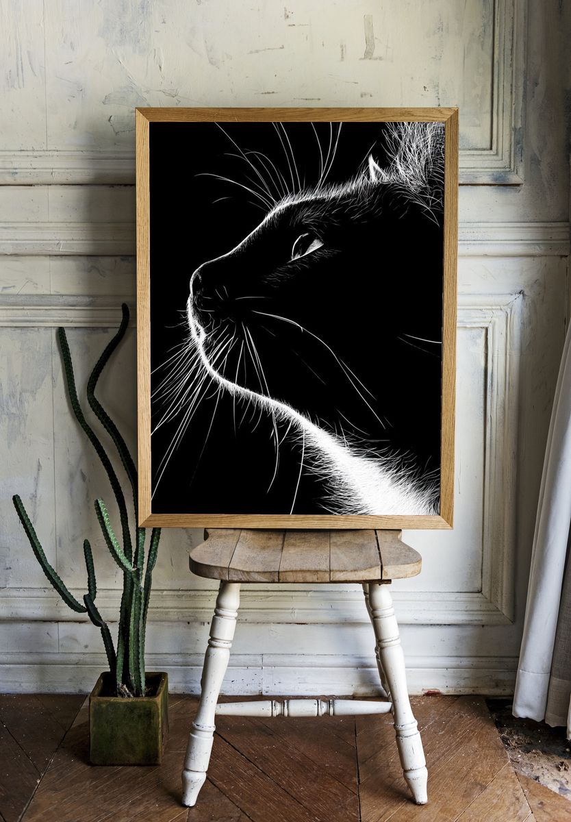 Black Cat Profile Photography Poster. room preview