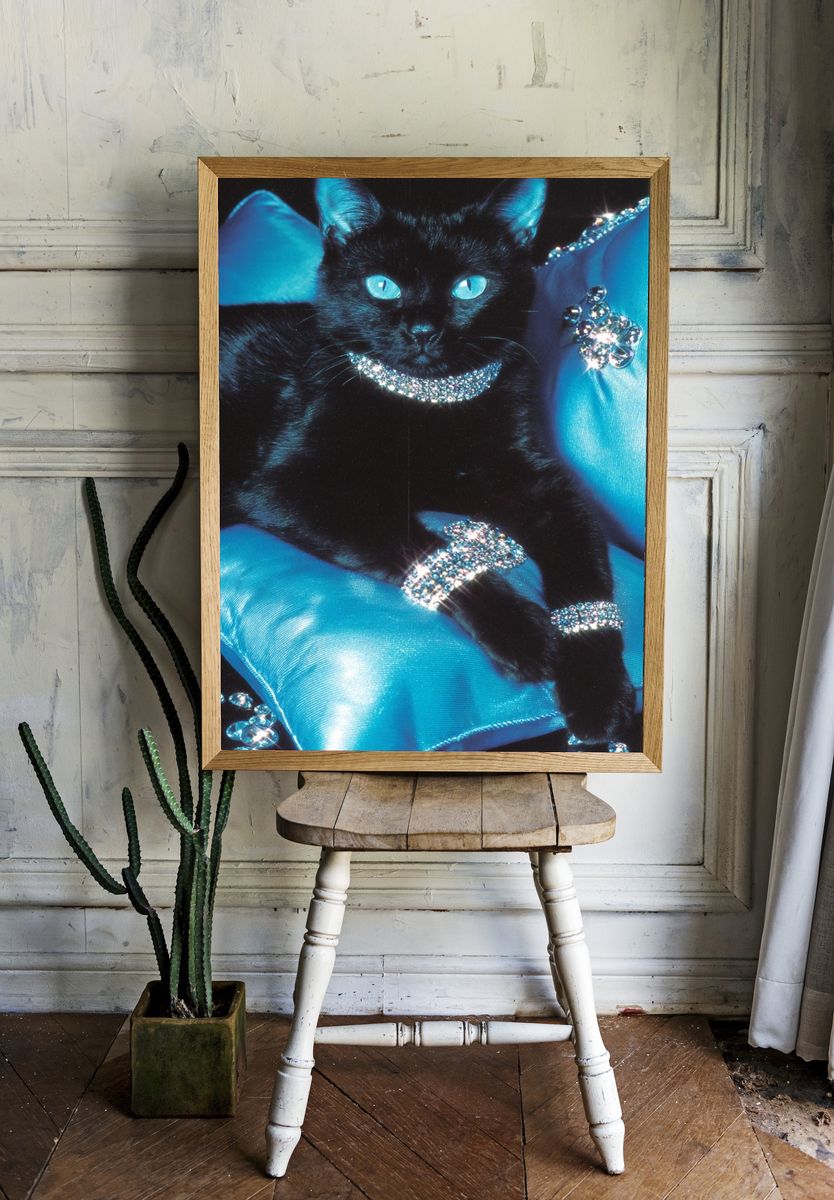 Glamorous Black Cat — Photography Print. — room view 1