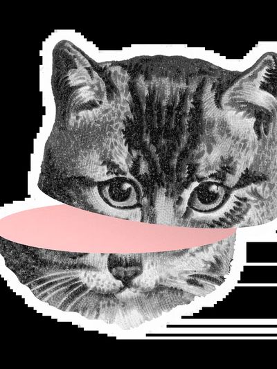 Whimsical Cat Portrait Print. poster print