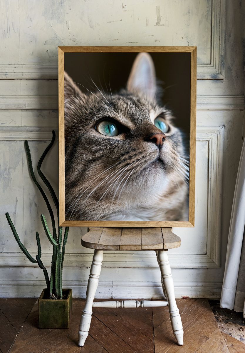 Tabby Cat Portrait Poster. room preview