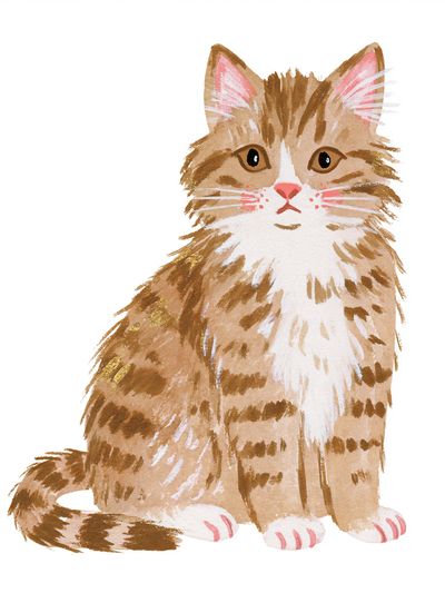 Watercolor Tabby Cat Poster.