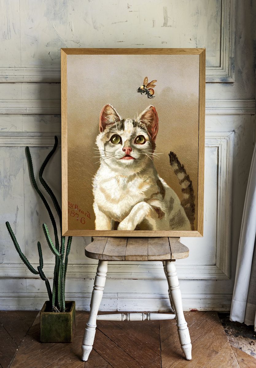 Curious Cat and Bee — Vintage Print. — room view 1