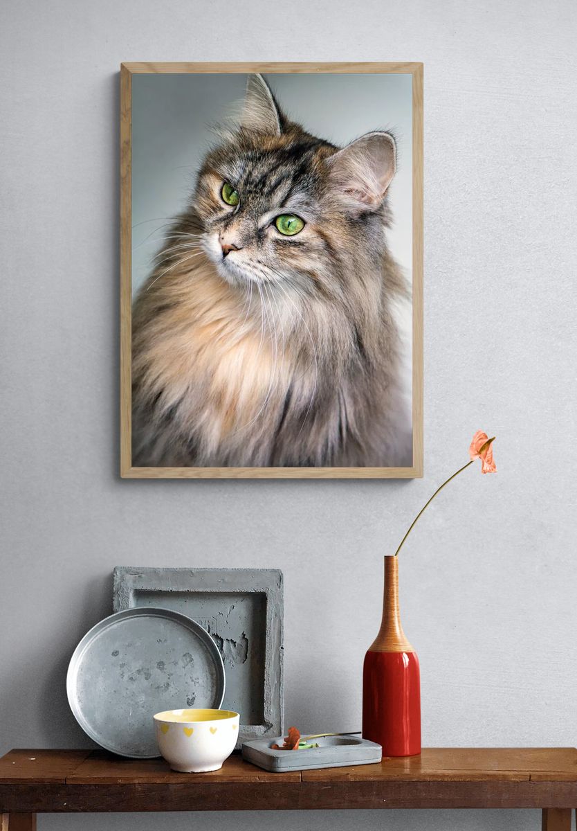 Majestic Cat Portrait Poster. — room view 3