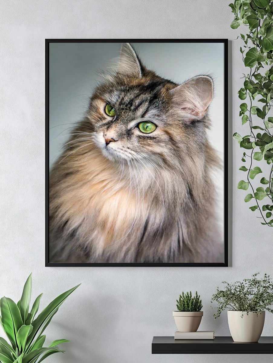 Majestic Cat Portrait Poster. — room view 4