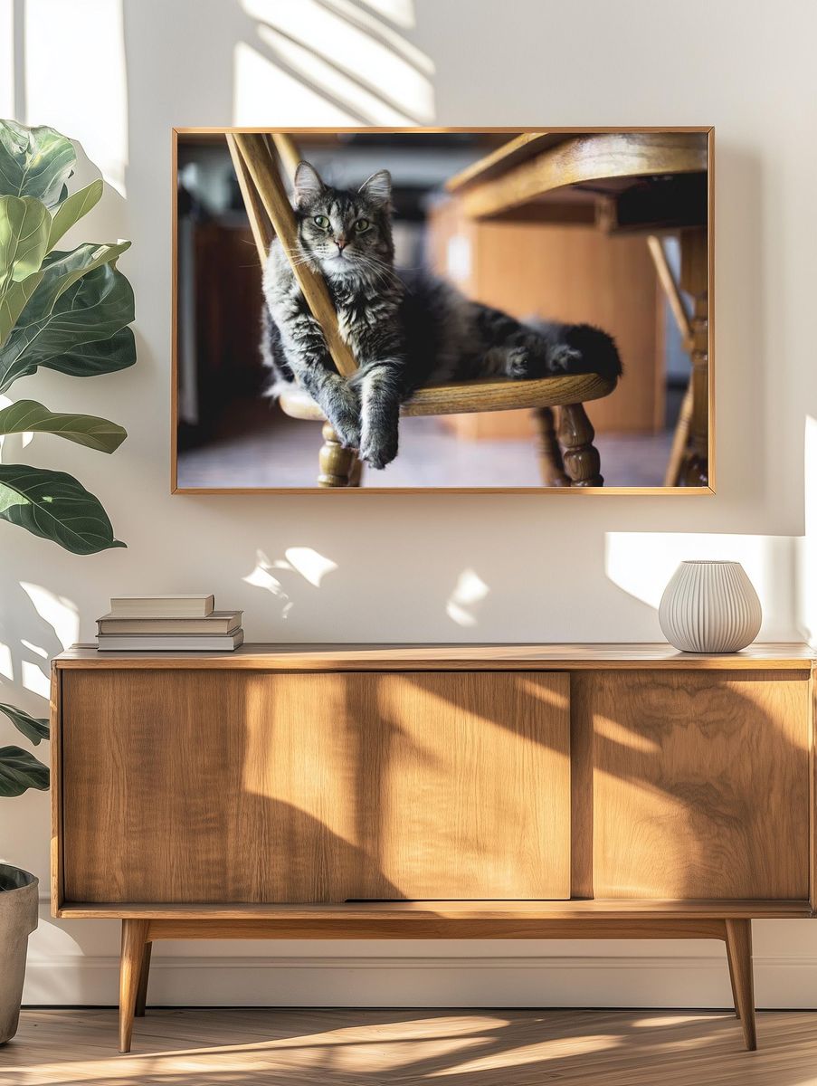 Relaxed Cat on Chair — Animal Photography Print. — room view 3