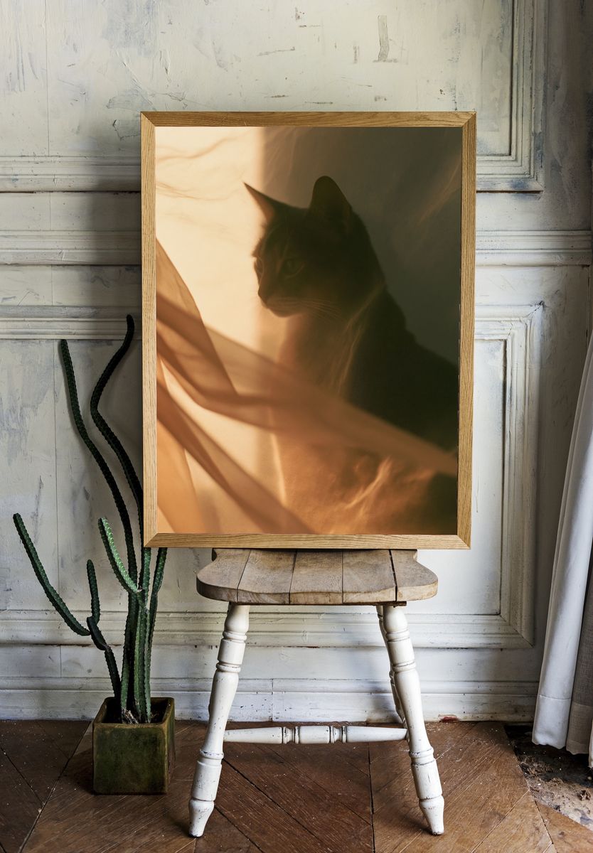 Cat Silhouette Photography Poster. — room view 1