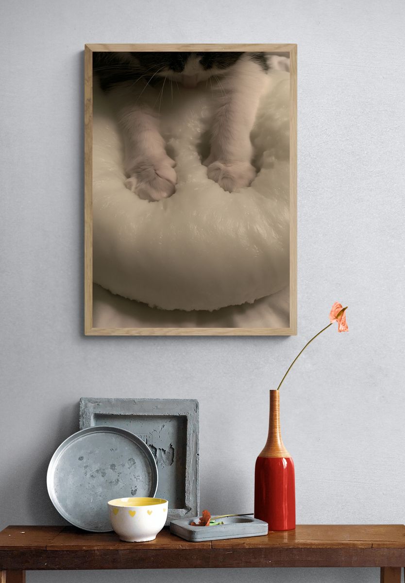 Sleeping Cat Close-Up Poster. — room view 3