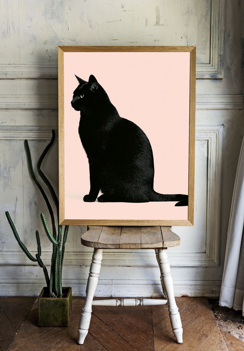 Black Cat Silhouette Poster. room preview