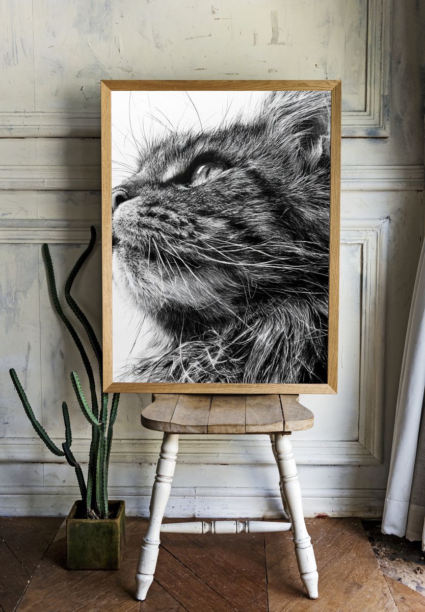 Black Cat Portrait Print. room preview
