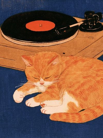 Sleeping Cat and Turntable Print. poster