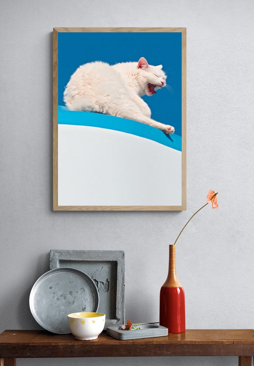 Yawning White Cat Photography Poster. — room view 3