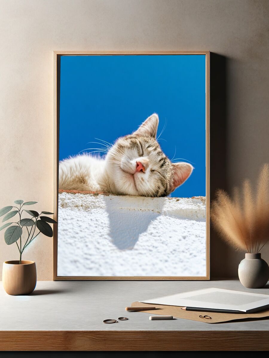 Sleeping Cat — Photography Print. — room view 2
