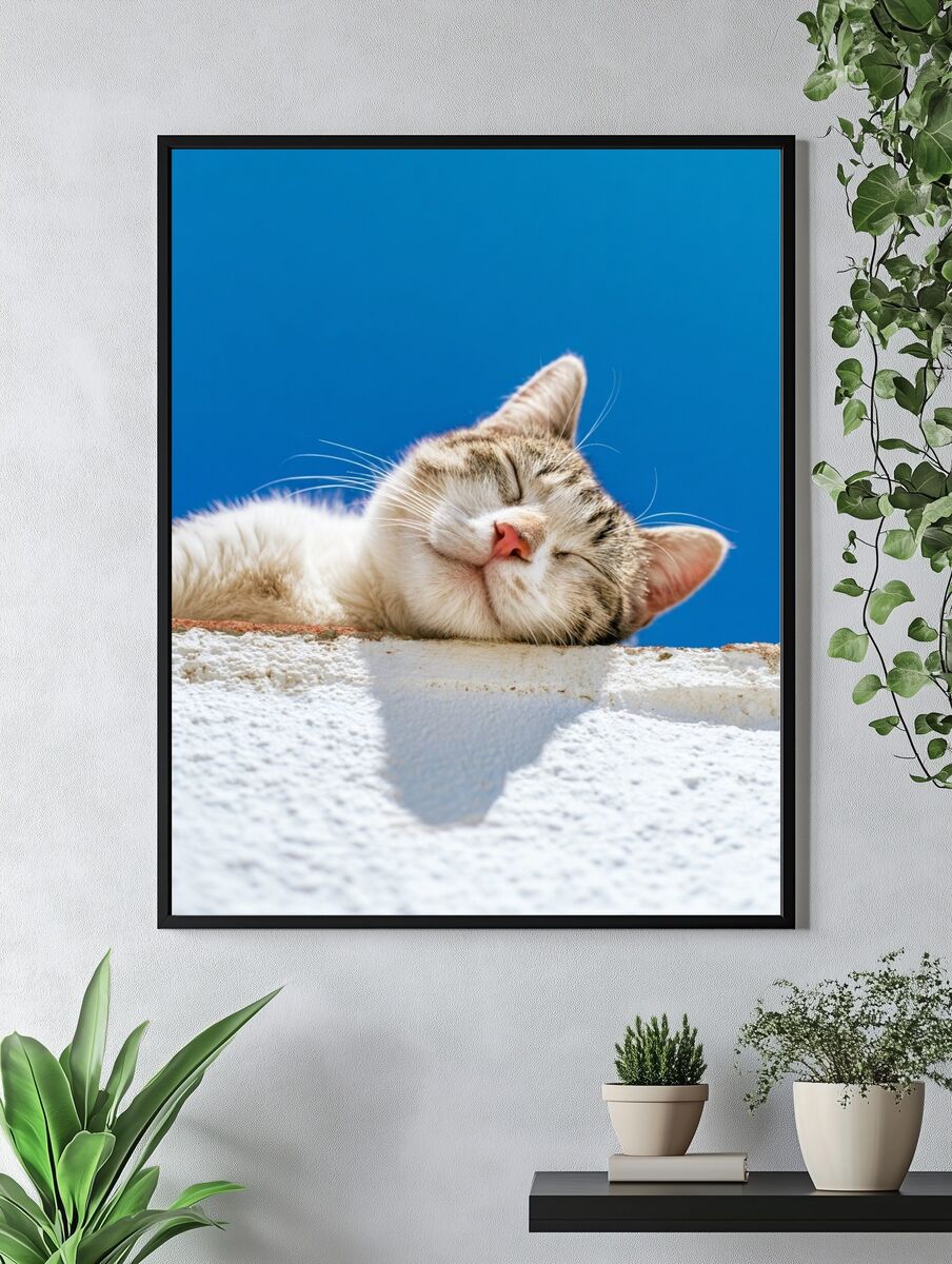 Sleeping Cat — Photography Print. — room view 4