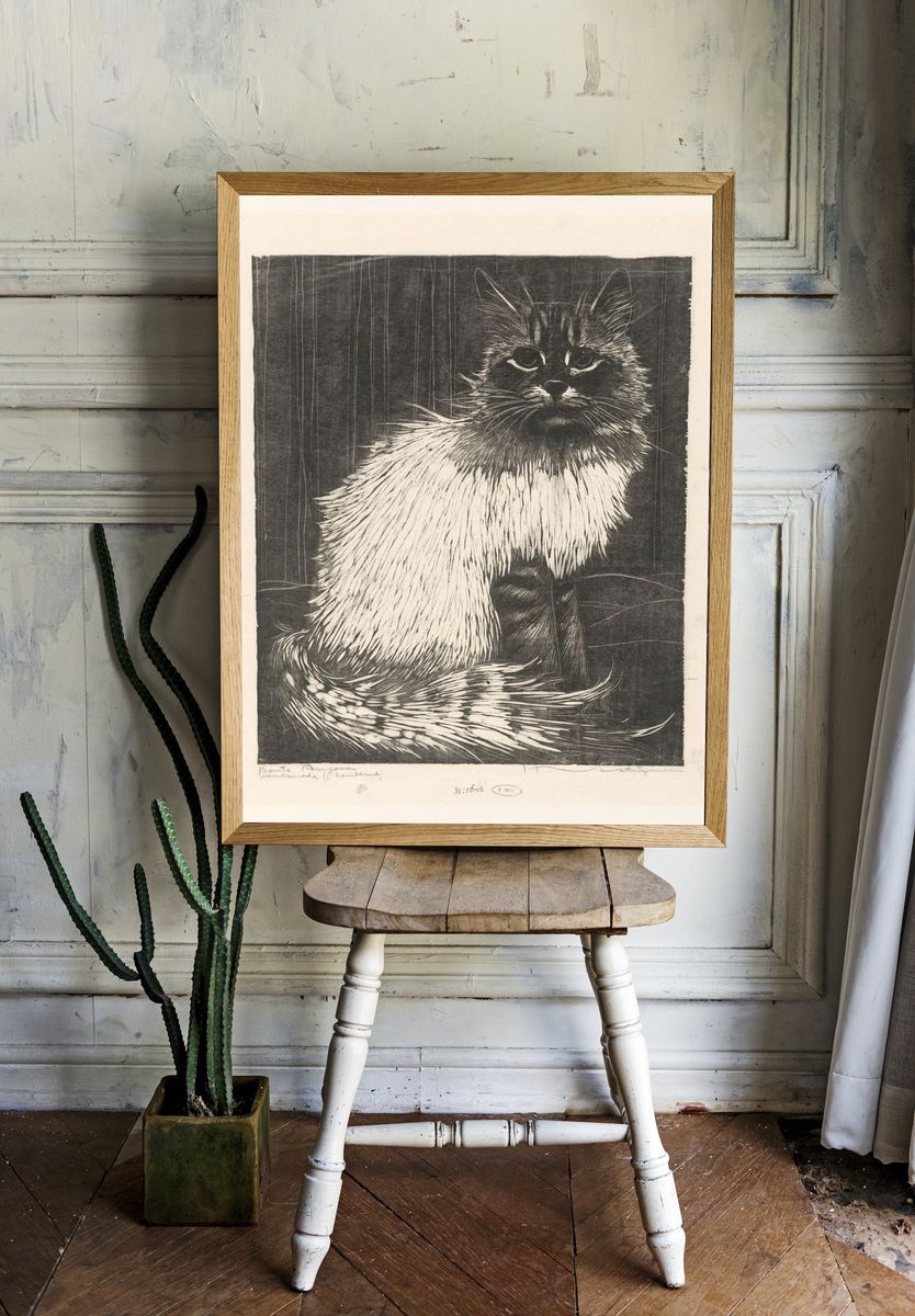 Siamese Cat Etching Print. — room view 1