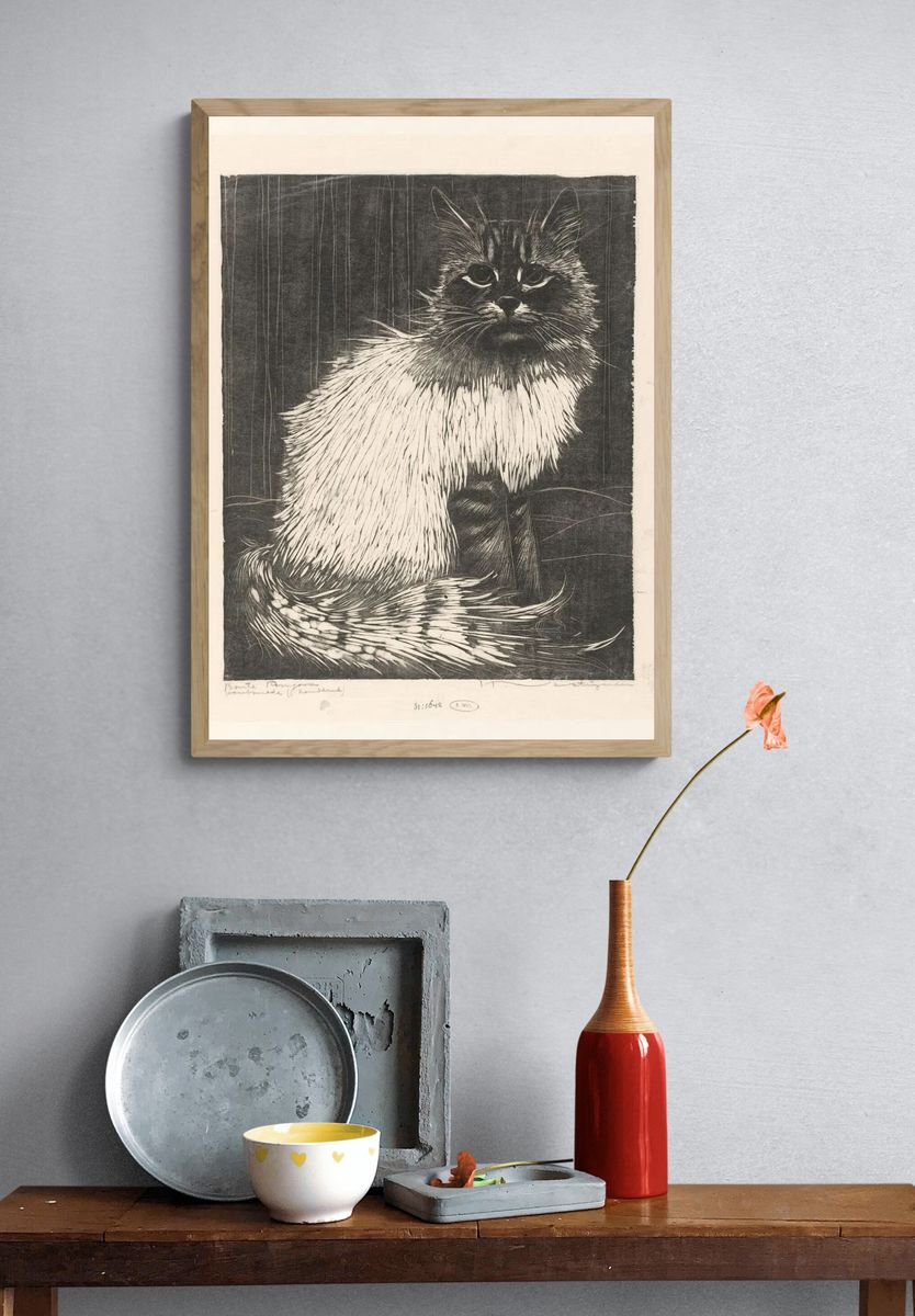 Siamese Cat Etching Print. — room view 3