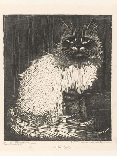 Siamese Cat Etching Print. poster