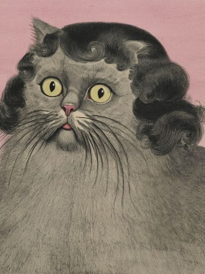 Curly Cat Portrait Illustration Poster. poster