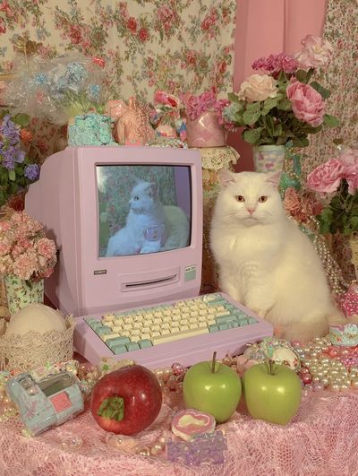Pastel Cat Still Life Poster.