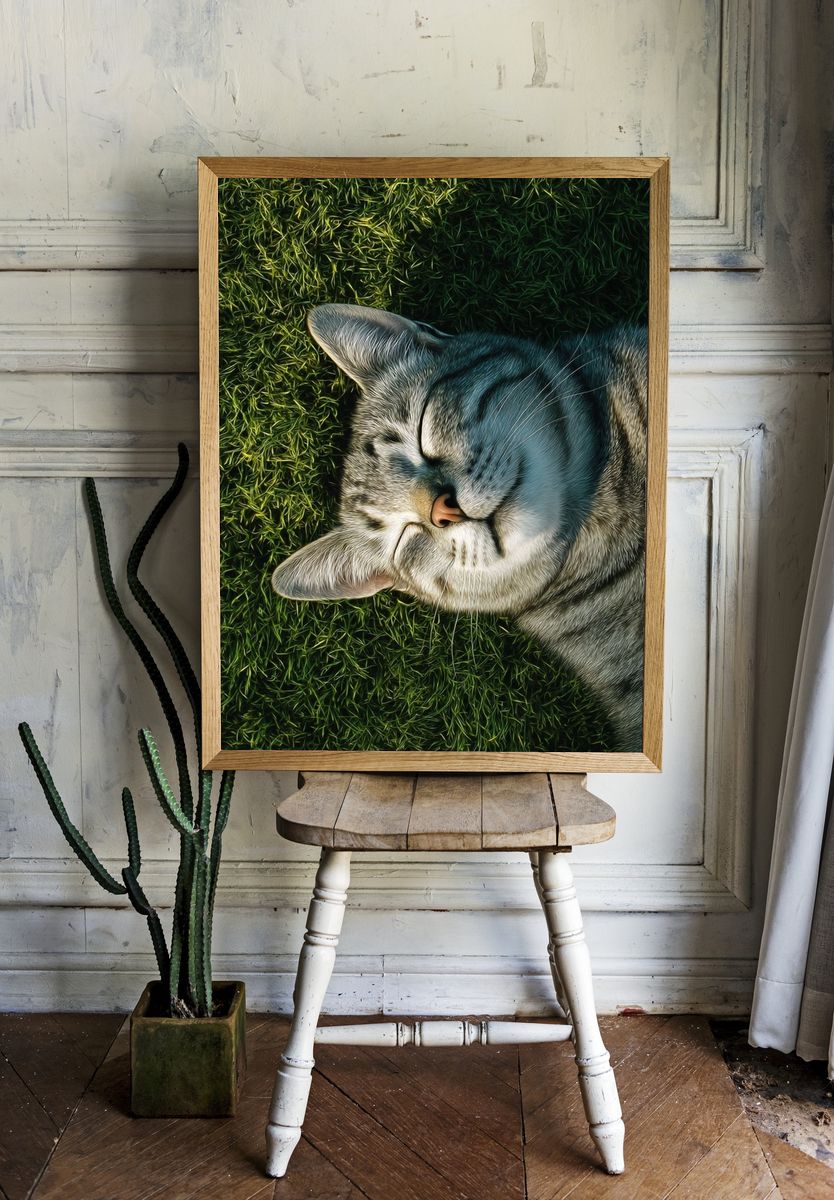 Sleeping Tabby Cat Photography Poster. — room view 1