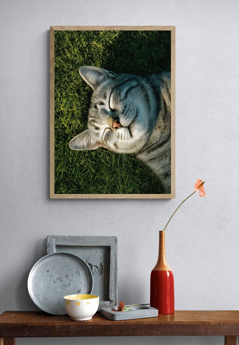 Sleeping Tabby Cat Photography Poster. — room view 3
