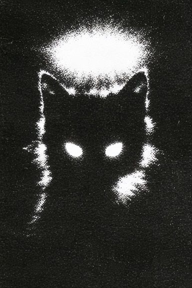 Glowing Cat Silhouette Poster. poster — animals art