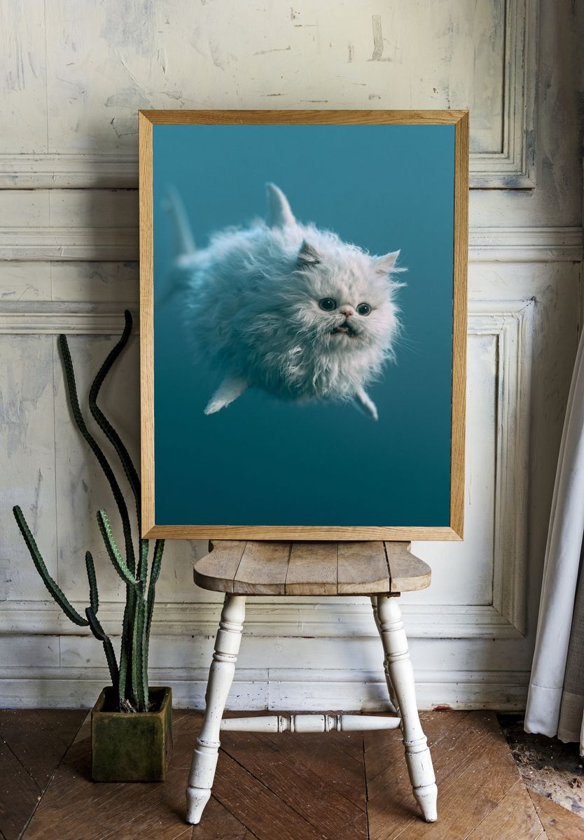 Fluffy White Cat Photography Poster. room preview